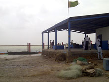 Darya Peer